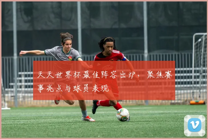 天天世界杯最佳阵容出炉，聚焦赛事亮点与球员表现